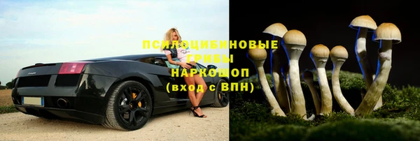 винт Алексеевка