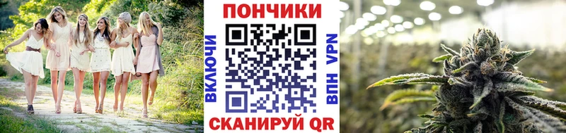 МЕГА как войти  Миасс  Бошки марихуана OG Kush 